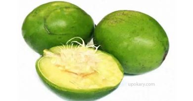 Hog plum