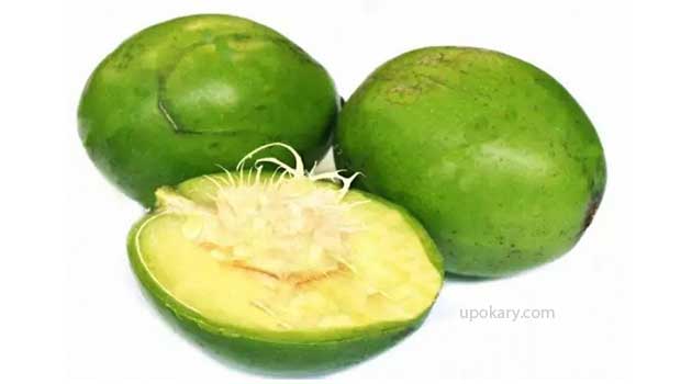 Hog plum