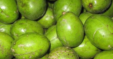 hogplum