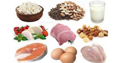 protein food
