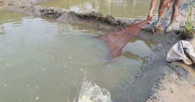 fish catching