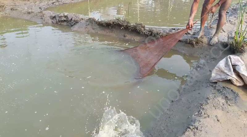 fish catching