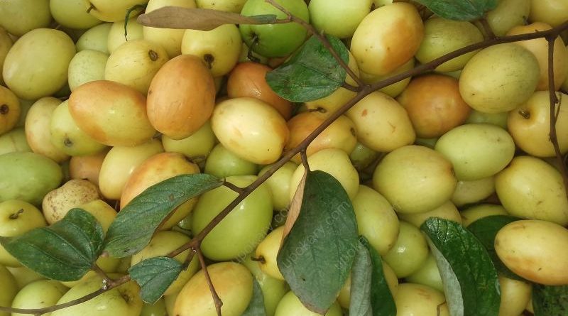 plum