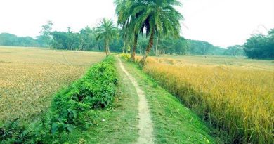 spring in bd