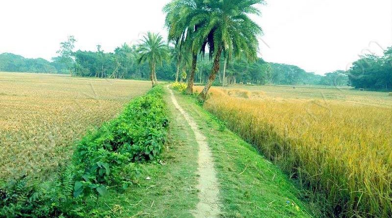 spring in bd