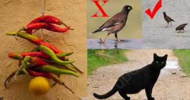superstition