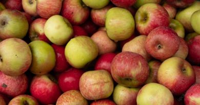 apple