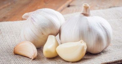 garlic