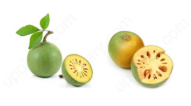 wood apple