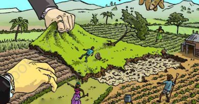 land grabber