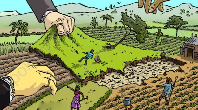 land grabber