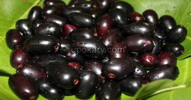 black berry