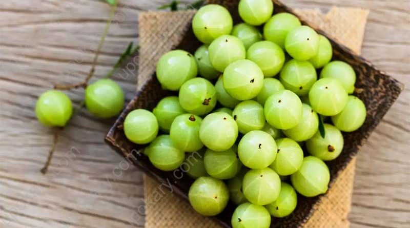 amla fruit