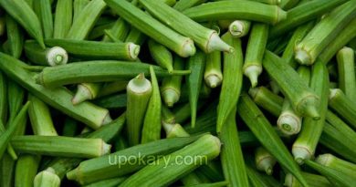 lady finger