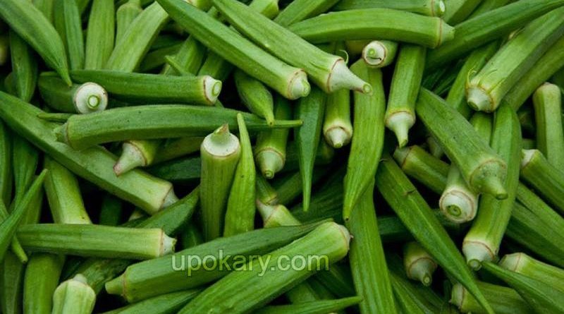 lady finger
