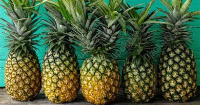 pineapple
