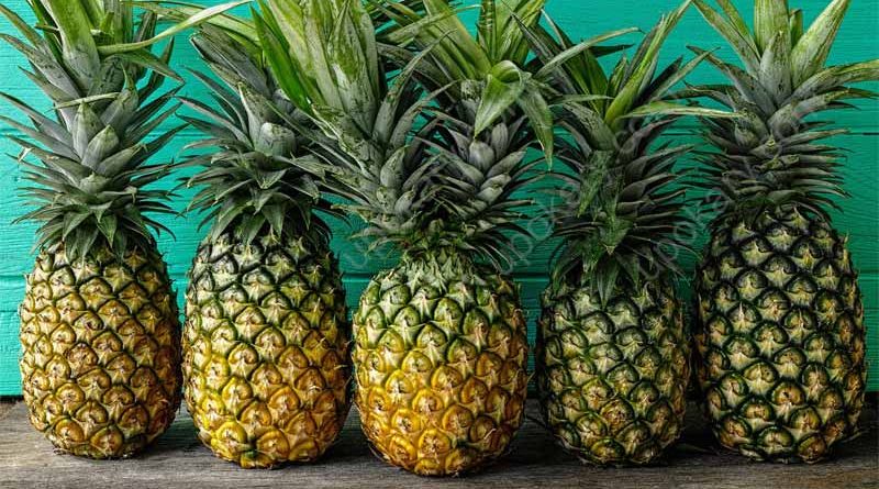 pineapple