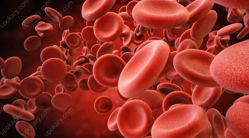 blood platilate