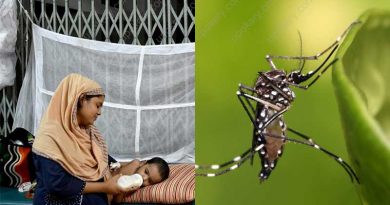 dengue fever baby