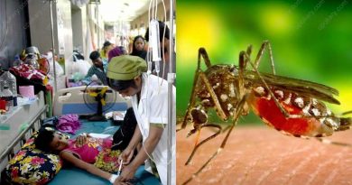 dengue fever