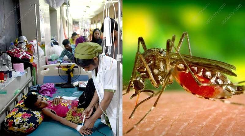 dengue fever