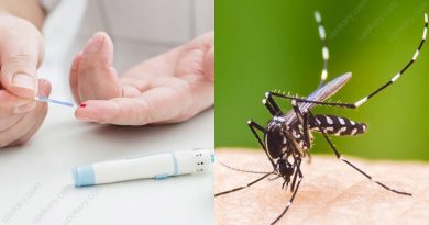 dengue for diabetes patient