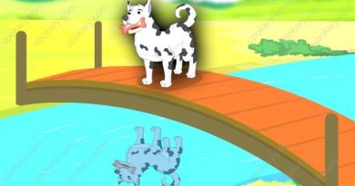 greedydog