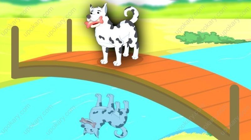 greedydog