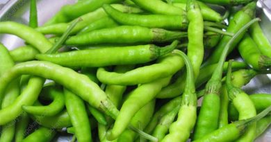 green chili