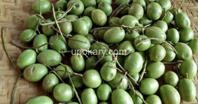 olive healthy