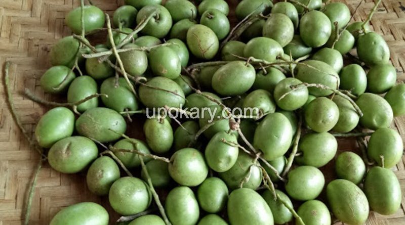 olive healthy