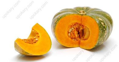 pumpkin