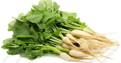 radish-leaf