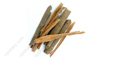 Cinnamon Barks