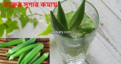 okra