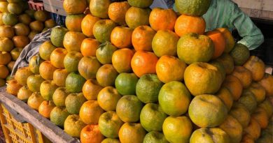 orange fruit
