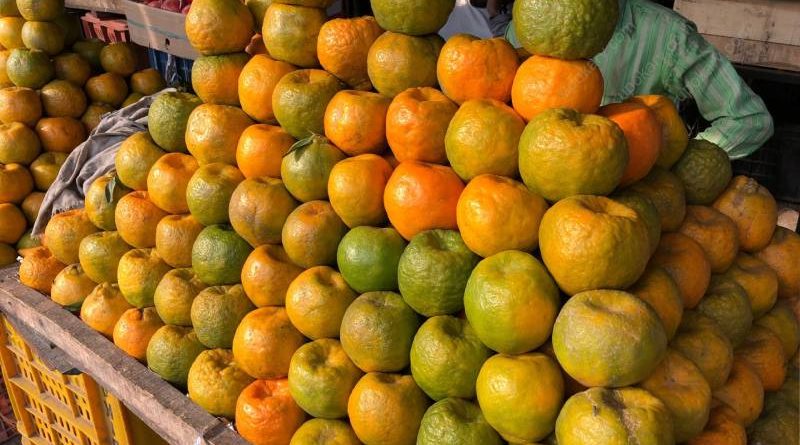 orange fruit