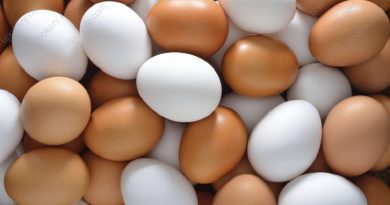 super food egg