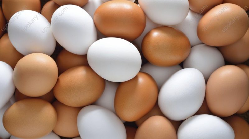 super food egg