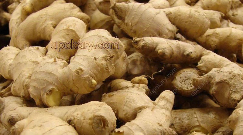 healthy ginger