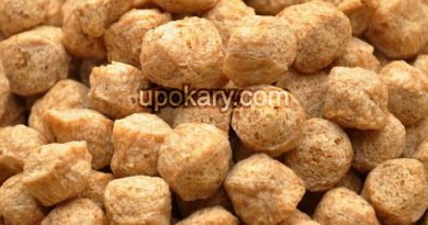 healthy soya nugget