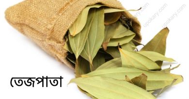 tejpata