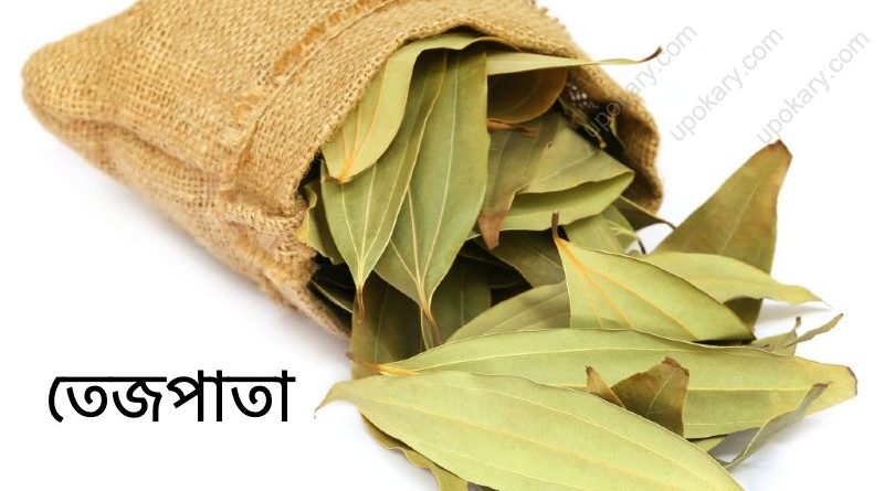 tejpata