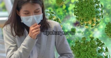coronavirus musk