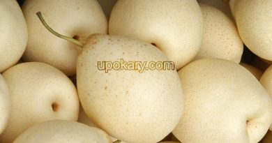 Health Benefits of Pears pears