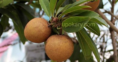 sobeda