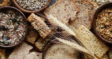 fiber food