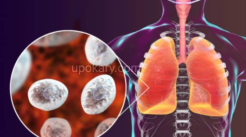 lungs coronavirus