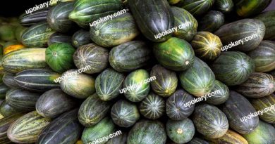 melon