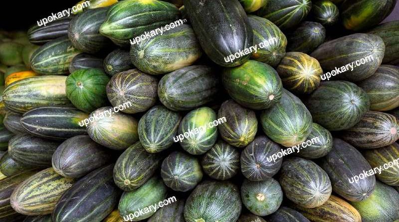 melon